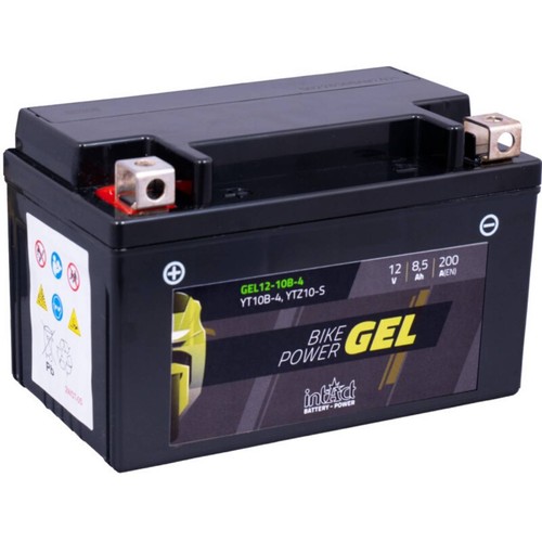 Intact gel12 10b - intact, gel12-10b-4